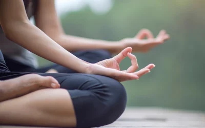 Wellness Programs
